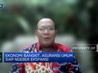 Jasa Agen Kena PPN, Perusahaan Asuransi Yang Menanggung?