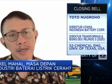 Bos IBC Curhat: Ternyata Bangun Industri Baterai Gak Murah!