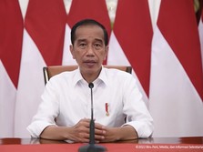 Menghitung Untung-Rugi Larangan Ekspor Minyak Sawit Jokowi