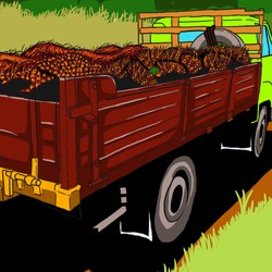 Minyak Goreng Kapan Turun? Harga CPO Melandai Nih...