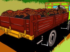 Limbah Kelapa Sawit: Energi Alternatif Masa Depan Indonesia
