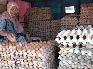 Pasokan Ayam-Telur Berlebih Saat MBG Libur, Hotel-Restoran Diminta Ikut Serap