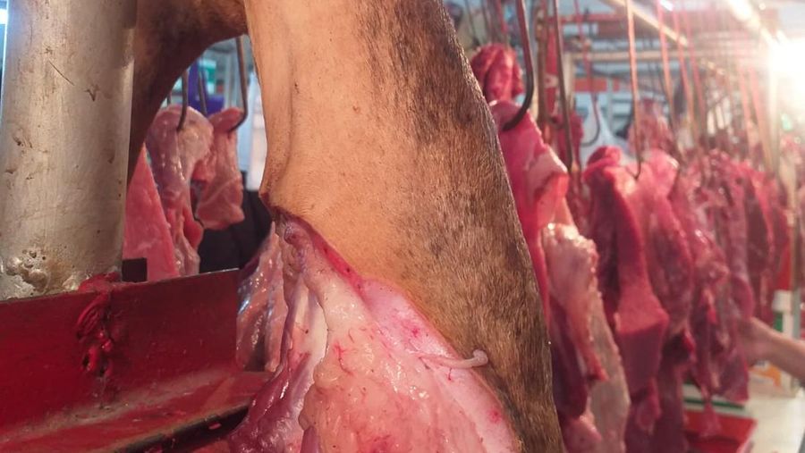 Harga daging sapi.