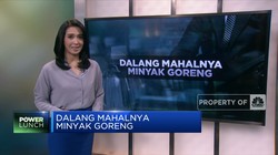 Dalang Mahalnya Minyak Goreng