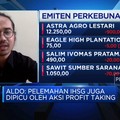 Ekspor Dilarang, Saham Emiten CPO Berguguran