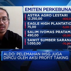 Ekspor Dilarang, Saham Emiten CPO Berguguran