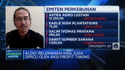 Ekspor Dilarang, Saham Emiten CPO Berguguran
