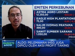 Ekspor Dilarang, Saham Emiten CPO Berguguran