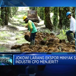 Hitung Untung-Rugi Larangan Ekspor Minyak Sawit Jokowi