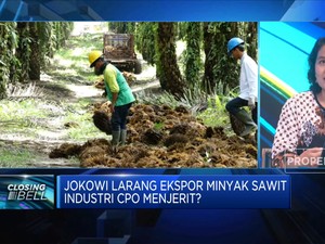 Hitung Untung-Rugi Larangan Ekspor Minyak Sawit Jokowi