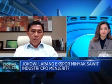 Jokowi Larang Ekspor Minyak Sawit, Apa Kata Pengusaha CPO?