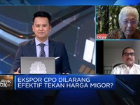 Bukan Larangan Ekspor, Ini Cara Kendalikan Ketersediaan Migor