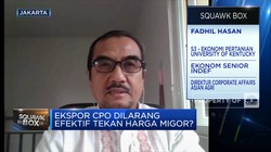 Ekonom: Larangan Ekspor Tak Selesaikan Persoalan Migor RI
