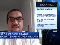 Ekonom: Larangan Ekspor Tak Selesaikan Persoalan Migor RI