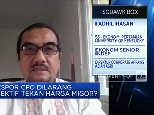 Ekonom: Larangan Ekspor Tak Selesaikan Persoalan Migor RI