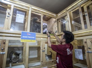 Klinik Penitipan Kucing dan Anjing Meningkat Jelang Lebaran
