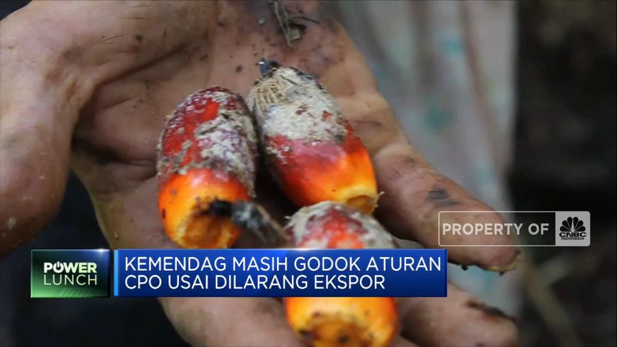 Kemendag Masih Godok Aturan CPO Usai Dilarang Ekspor