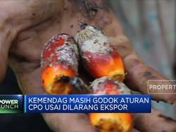 Kemendag Godok Aturan CPO Usai Dilarang Ekspor