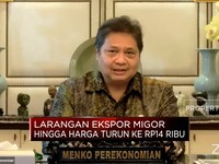 Catat, Larangan Ekspor Sampai Harga Minyak Goreng Rp14.000