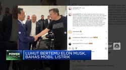 Luhut-Elon Musk Kopdar Bahas Mobil Listrik