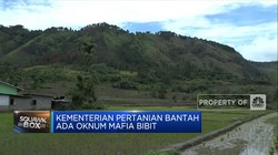 Mentan Bantah Tudingan Erick Ada Mafia Bibit