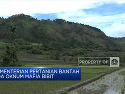 Mentan Bantah Tudingan Erick Ada Mafia Bibit