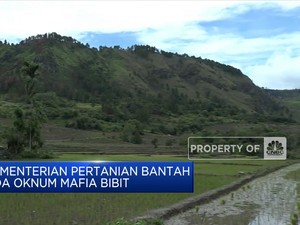 Mentan Bantah Tudingan Erick Ada Mafia Bibit