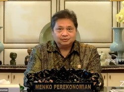 Migor Mahal, Jokowi Keluarkan Larangan Ekspor RBD Palm Olein