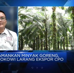 Pak Jokowi, Ekspor Migor Dilarang Petani Sawit yang Kesakitan