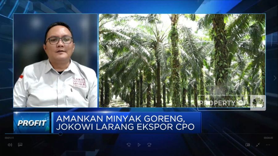 Petani teriak! Larangan Ekspor CPO Bikin Harga TBS Anjlok 60%  (CNBC Indonesia TV)