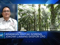 Pak Jokowi, Ekspor Migor Dilarang Petani Sawit yang Kesakitan
