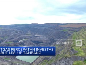 Wow! 1.118 IUP Resmi Dicabut Menteri Bahlil