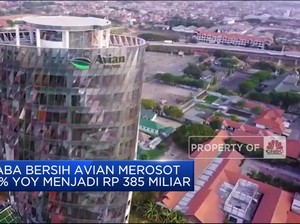 Laba Bersih Avian Merosot 15%  Menjadi Rp 385 Miliar