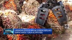 Larangan Ekspor Migor Berlaku Sampai Harga Turun Ke Rp14 Ribu