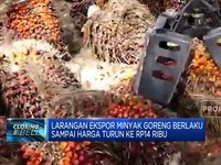 Larangan Ekspor Migor Berlaku Sampai Harga Turun Ke Rp14 Ribu