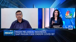 Kasus Melandai, Indonesia Kapan Masuk Fase Endemi Covid-19?