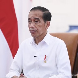 Alasan Jokowi Larang Ekspor CPO: 4 Bulan Minyak Goreng Langka