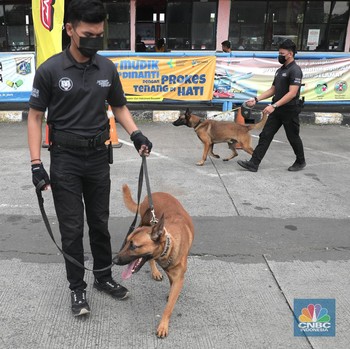 Penampakan Anjing Pelacak K9 Cek Pemudik di Terminal Rambutan