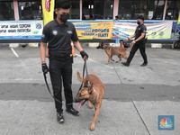 Penampakan Anjing Pelacak K9 Cek Pemudik di Terminal Rambutan