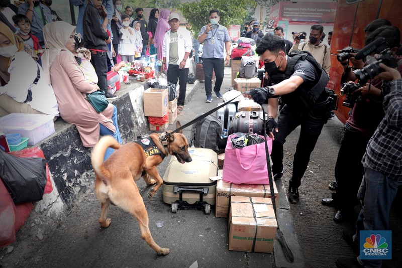 Petugas Badan Narkotika Nasional (BNN) bersama anjing pelacak K9 memeriksa barang pemudik di Terminal Kampung Rambutan, Jakarta, Rabu (27/4/2022). (CNBC Indonesia/Muhammad Sabki) Petugas Badan Narkotika Nasional (BNN) bersama anjing pelacak K9 memeriksa barang pemudik di Terminal Kampung Rambutan, Jakarta, Rabu (27/4/2022). (CNBC Indonesia/Muhammad Sabki)