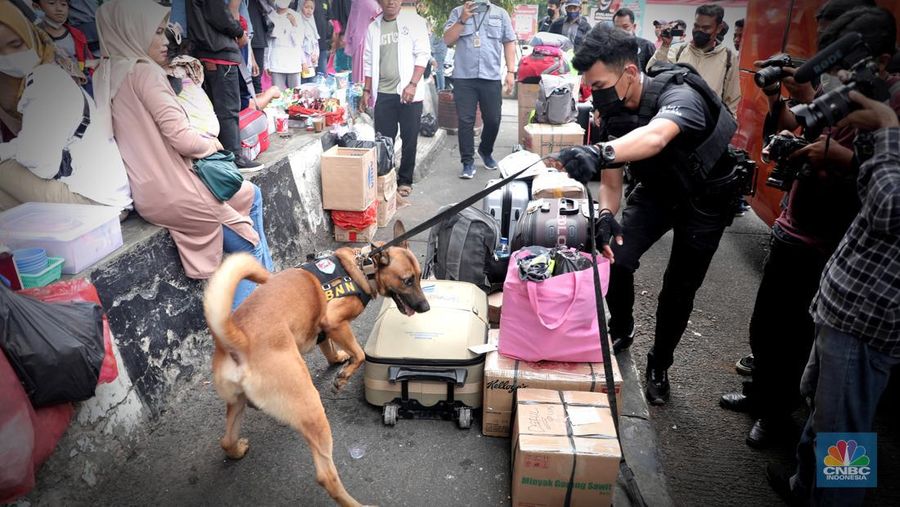 Petugas Badan Narkotika Nasional (BNN) bersama anjing pelacak K9 memeriksa barang pemudik di Terminal Kampung Rambutan, Jakarta, Rabu (27/4/2022). (CNBC Indonesia/Muhammad Sabki)