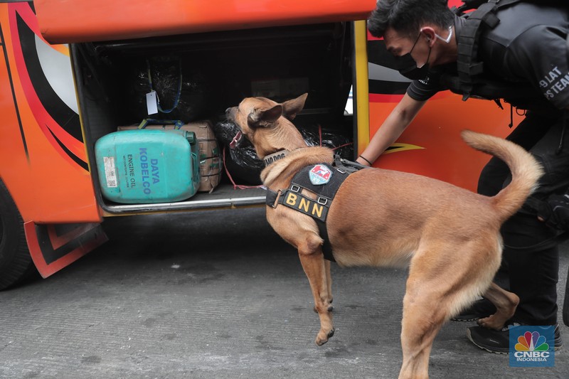 Petugas Badan Narkotika Nasional (BNN) bersama anjing pelacak K9 memeriksa barang pemudik di Terminal Kampung Rambutan, Jakarta, Rabu (27/4/2022). (CNBC Indonesia/Muhammad Sabki) Petugas Badan Narkotika Nasional (BNN) bersama anjing pelacak K9 memeriksa barang pemudik di Terminal Kampung Rambutan, Jakarta, Rabu (27/4/2022). (CNBC Indonesia/Muhammad Sabki)