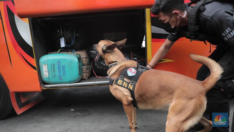 Petugas Badan Narkotika Nasional (BNN) bersama anjing pelacak K9 memeriksa barang pemudik di Terminal Kampung Rambutan, Jakarta, Rabu (27/4/2022). (CNBC Indonesia/Muhammad Sabki)