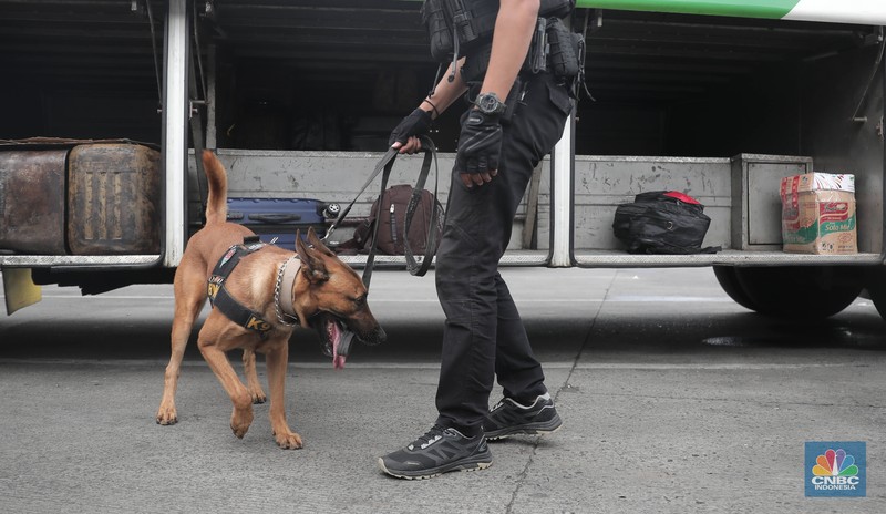 Petugas Badan Narkotika Nasional (BNN) bersama anjing pelacak K9 memeriksa barang pemudik di Terminal Kampung Rambutan, Jakarta, Rabu (27/4/2022). (CNBC Indonesia/Muhammad Sabki) Petugas Badan Narkotika Nasional (BNN) bersama anjing pelacak K9 memeriksa barang pemudik di Terminal Kampung Rambutan, Jakarta, Rabu (27/4/2022). (CNBC Indonesia/Muhammad Sabki)