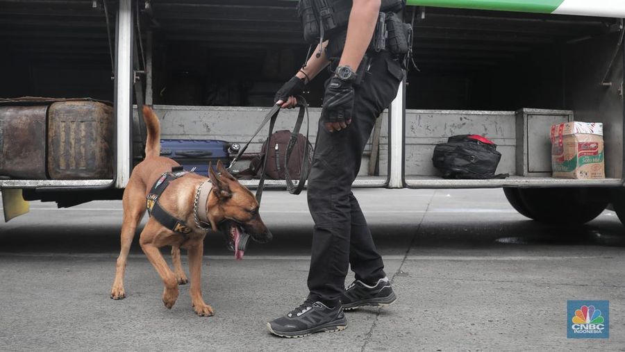 Petugas Badan Narkotika Nasional (BNN) bersama anjing pelacak K9 memeriksa barang pemudik di Terminal Kampung Rambutan, Jakarta, Rabu (27/4/2022). (CNBC Indonesia/Muhammad Sabki)