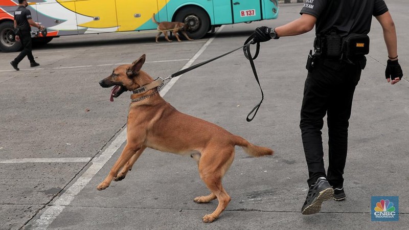 Petugas Badan Narkotika Nasional (BNN) bersama anjing pelacak K9 memeriksa barang pemudik di Terminal Kampung Rambutan, Jakarta, Rabu (27/4/2022). (CNBC Indonesia/Muhammad Sabki)