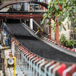 Tok! Bukit Asam (PTBA) Tebar Dividen Rp 4,58 T, Setara 75% Laba 2023