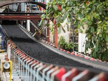 PTBA Konsisten Garap Proyek Hilirisasi Batu Bara