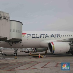 Jelang Musim Libur Nataru, Pelita Air Buka Rute Jakarta-Medan