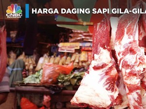 Video: Dekat Lebaran, Harga Daging Sapi Gila-Gilaan!